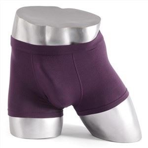 Σλιπ μπόξερ Spandex Εσώρουχα χωρίς ραφή